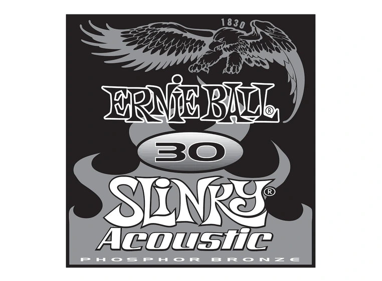Ernie Ball EB-1830 